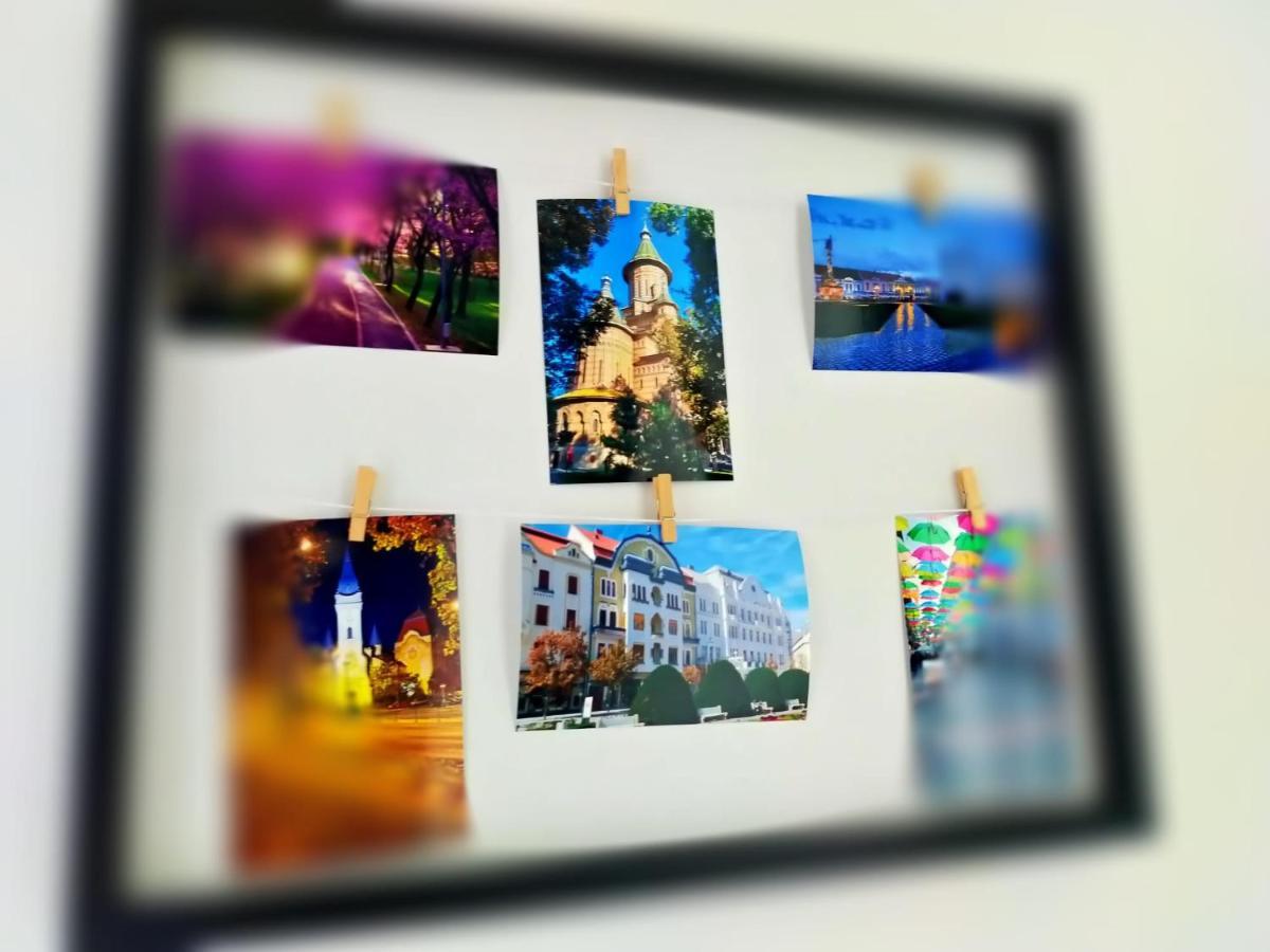 Luca'S Forest Apartment ทิมิชัวรา ภายนอก รูปภาพ