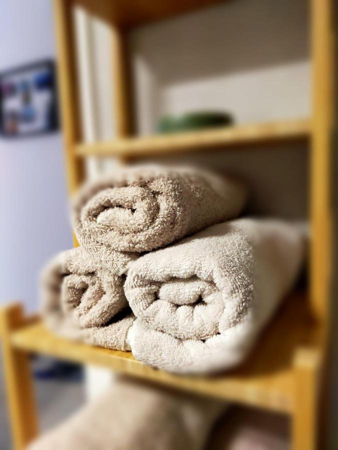 Luca'S Forest Apartment ทิมิชัวรา ภายนอก รูปภาพ