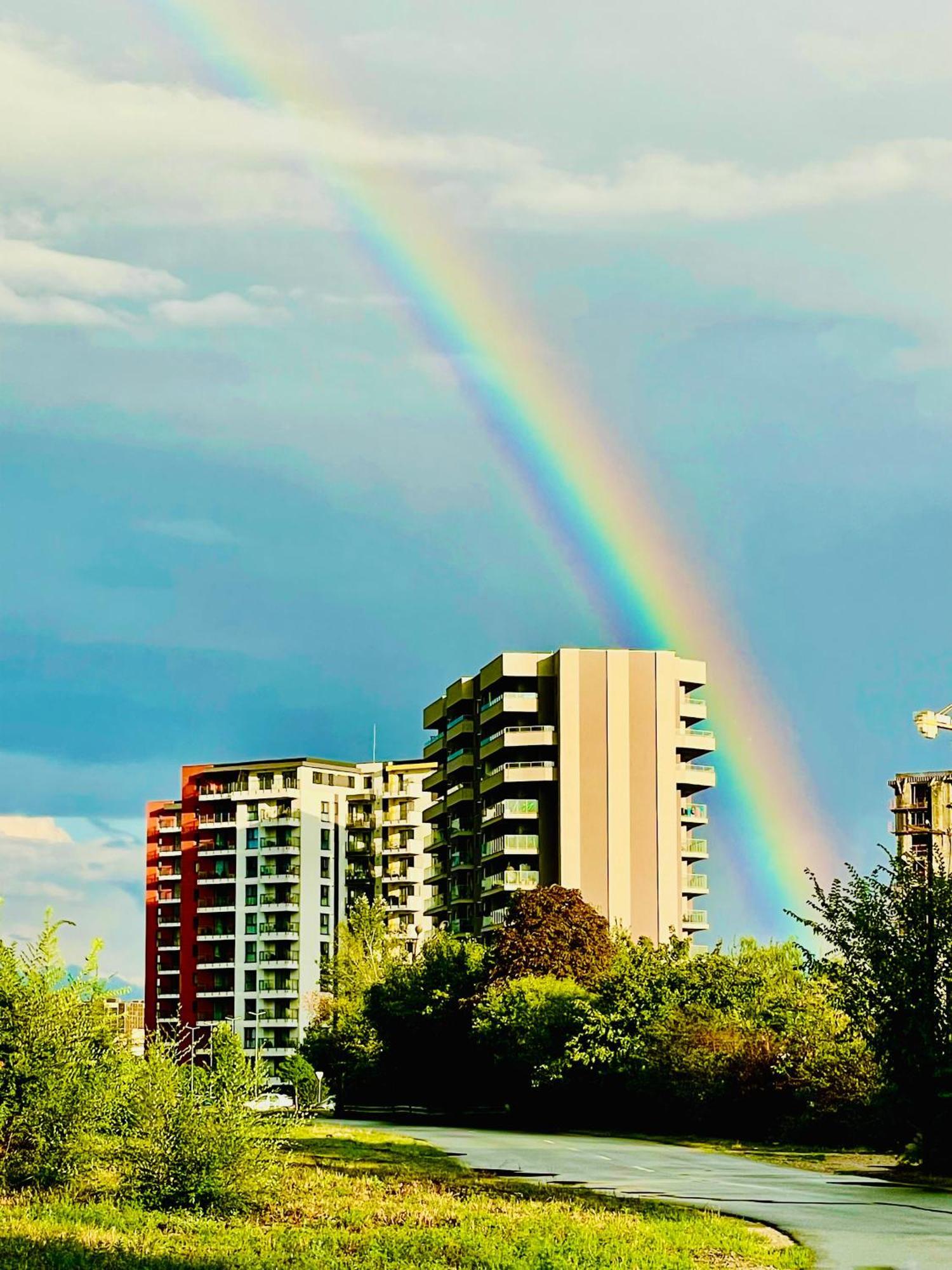 Luca'S Forest Apartment ทิมิชัวรา ภายนอก รูปภาพ